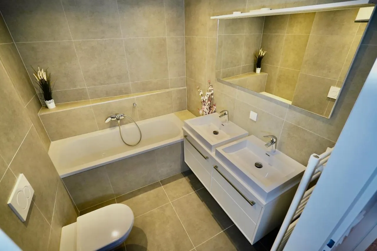 فيينا Dm & S Apartment شقة فندقية